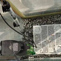 آکواریوم بزرگ سالم با مقداری لوازم|ماهی|تربتحیدریه, شهرک ولیعصر|دیوار