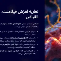 طراحی حرفه ای پاورپوینت|خدمات آموزشی|قم, پردیسان|دیوار