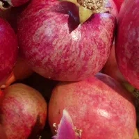 انار درجه یک رباب قصردشتی دانه قرمز میخوش