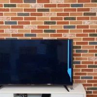 تلوزیون ۵۵ اینج اسنووا