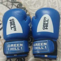 دستکش بوکس|تجهیزات ورزشی|فولادشهر, B8|دیوار