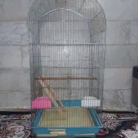 قفس ۱۰۶۴ بزرگ