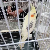 به یابنده مژدگانی تقدیم میشه