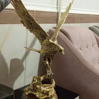 یک عدد عقاب برنزی