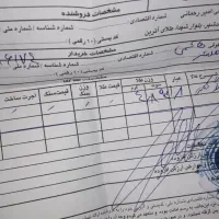 طلای بدون اجرت|جواهرات|شاهدشهر, |دیوار