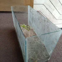 آکواریوم|لوازم جانبی حیوانات|سبزوار, امیر کبیر|دیوار