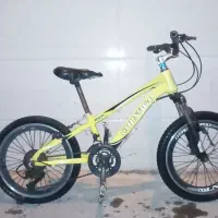 دوچرخه ۲۰|دوچرخه، اسکیت، اسکوتر|شیراز, شریف‌آباد|دیوار