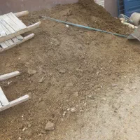 زل مرغ کود گوسفندگاو