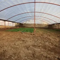 سازه گلخانه اقتصادی