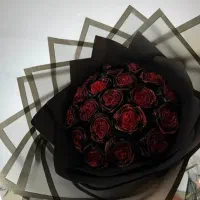 باکس گل و پول
