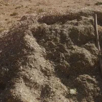 علف|حیوانات مزرعه|دیواندره, |دیوار