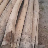 چوب  ۴متری