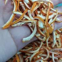 خلال پرتقال