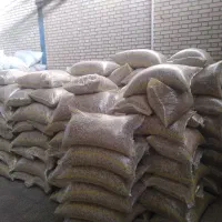 کدو گوشتی ممتاز|عمده‌فروشی|سنندج, |دیوار