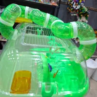 باکس جزیره ای همستر|لوازم جانبی حیوانات|قم, حکمت شمالی|دیوار