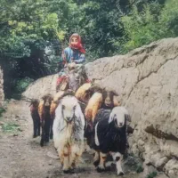 تابلوفرش