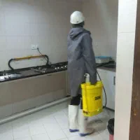 سم پاشی سوسک ساس موریانه سمپاشی تضمینی موش
