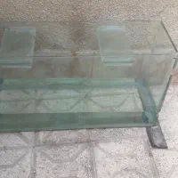 آگواریوم|ماهی|مشهد, شهید آوینی|دیوار