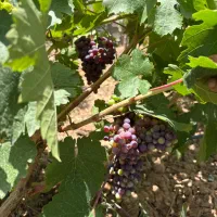 ویلا دوبلکس مبله تهاتر با آپارتمان تهران|فروش خانه و ویلا|تهران, نازی‌آباد|دیوار