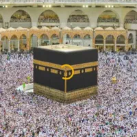 فروش فیش عمره