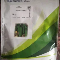 بذر خیار تلخ برای خیارشور