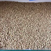 پخش حبوبات عمده ب (مستقیم از کشاورز خرید کنید)|خوردنی و آشامیدنی|رشت, منظریه|دیوار