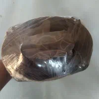 ظبط باند