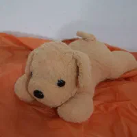 انواع عروسک زیر قیمت|اسباب‌بازی بچه|لاهیجان, رجایی|دیوار