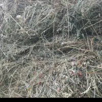 یونجه چین اخر|لوازم جانبی حیوانات|قره ضیاالدین, |دیوار