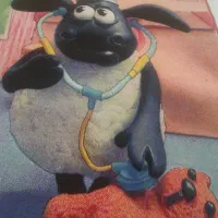 فرش کودک ۶ متری|فرش|کرمانشاه, |دیوار