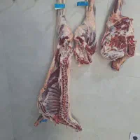 سوپر گوشت علیزاده  پانزده خرداد بین ۳۱ و۳۳|خوردنی و آشامیدنی|نیشابور, دارایی|دیوار