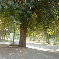 زمین-کارگاهی-پلیس-راه