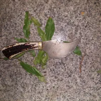 چاقو به شرط