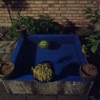 رهن یا اجاره حسن آباد