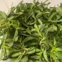 سبزی تازه