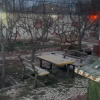 باغچه داخل بافت با نامه جهاد و سند