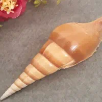 صدف|ماهی|جهرم, |دیوار