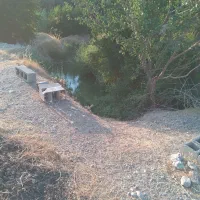 زمین-باغ-متراژ-بالا