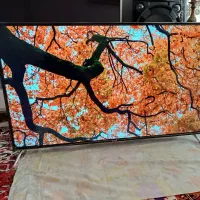 الیدی الجی کره ای 33 دوگیرنده دیجیتال داخلی فلشو|تلویزیون و پروژکتور|تبریز, |دیوار
