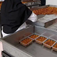 فروش کارخانه تولید انواع سوخاری  فلافل و پیراشکی
