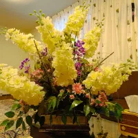 گل زیبا|گل مصنوعی|ارومیه, |دیوار