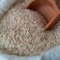 برنج درجه یک (محلی)