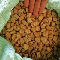 باقالی عمده