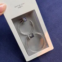 گوشواره نقره ۹۲۵|جواهرات|رشت, بازار|دیوار