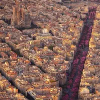 زمین-سند-دار-تجاری-مسکونی