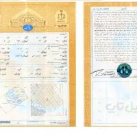 برفردوسی فاز1 /12متربر/تراکم7سقف