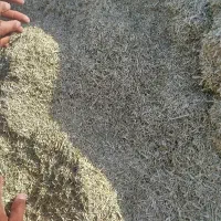 خار وصلمه|لوازم جانبی حیوانات|سبزوار, رباط|دیوار