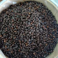 فروش انواع تک دان،میکس،شکلات،اکسسوری کافه