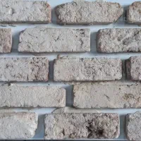 آجر دکوراتیو آجر هلندی، آجر تی وی وال،آجر تزیینی|مصالح و تجهیزات ساختمان|تهران, شهید رجایی|دیوار