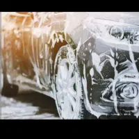 نیروی کار در کارواش